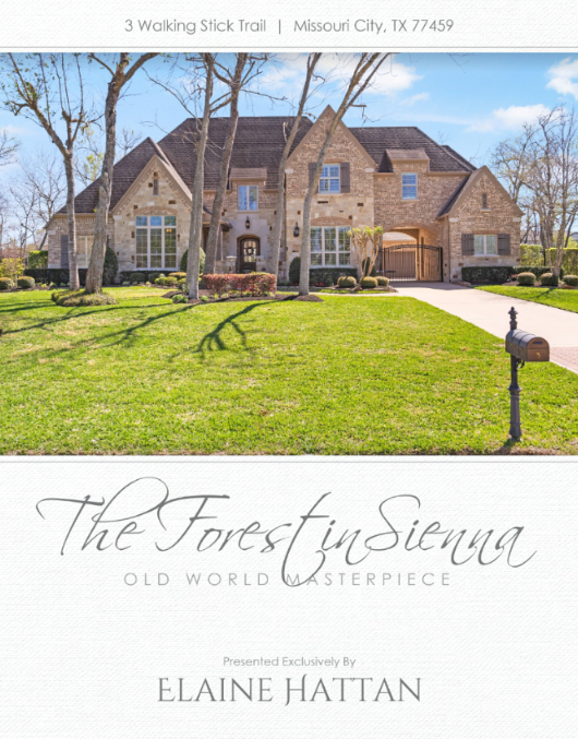Elaine Hattan | 3 Walking Stick Trail, Missouri City, TX 77459
